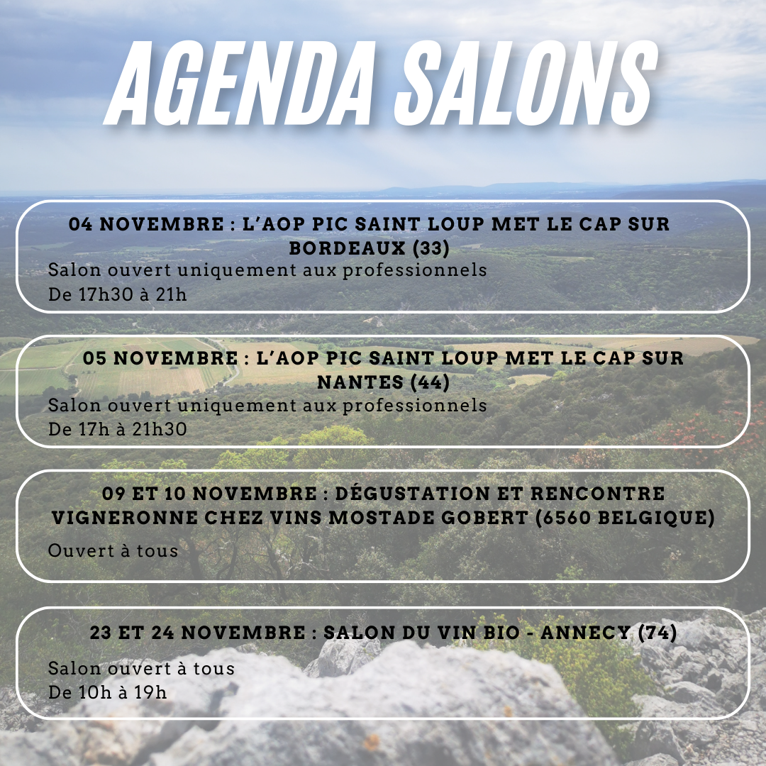 Agenda des salons en Novembre 2024